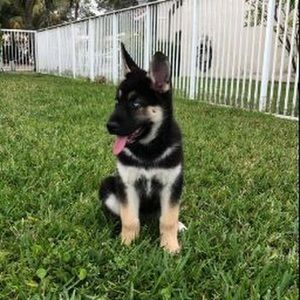 Meet your Posher, Matthew